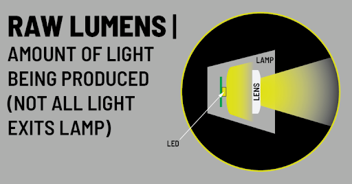 Lumens Infograph